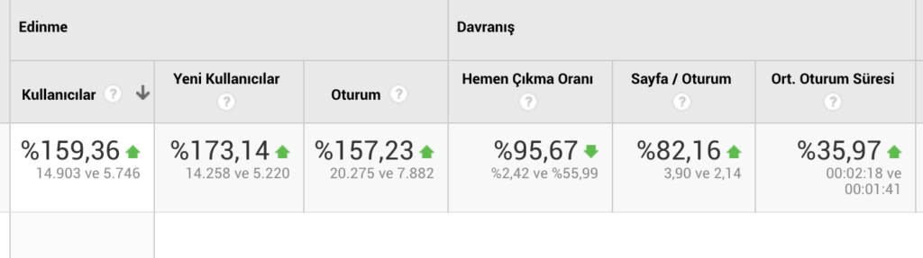 SEO Organik Trafik Başarısı