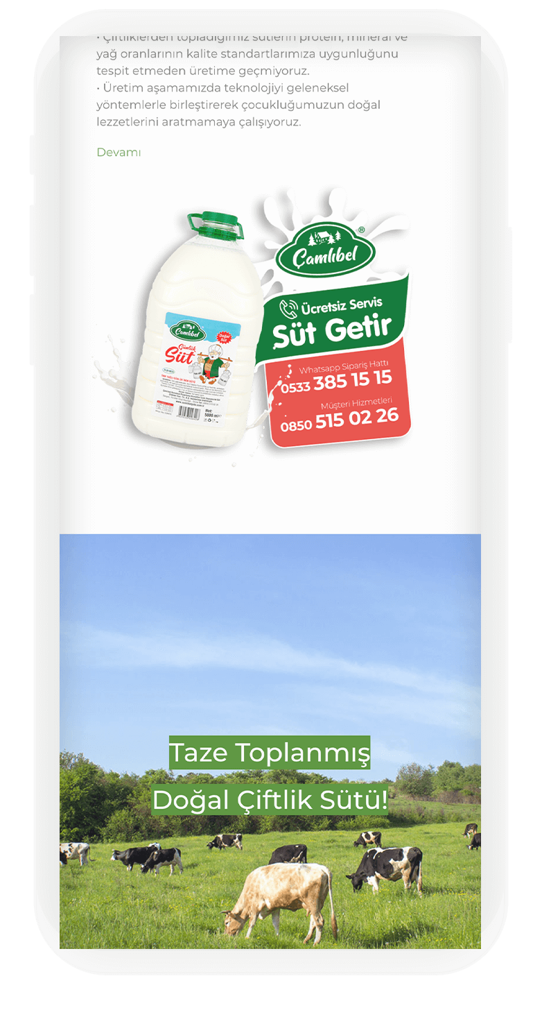 Çamlıbel Gıda Web Sitesi 3 camli 4