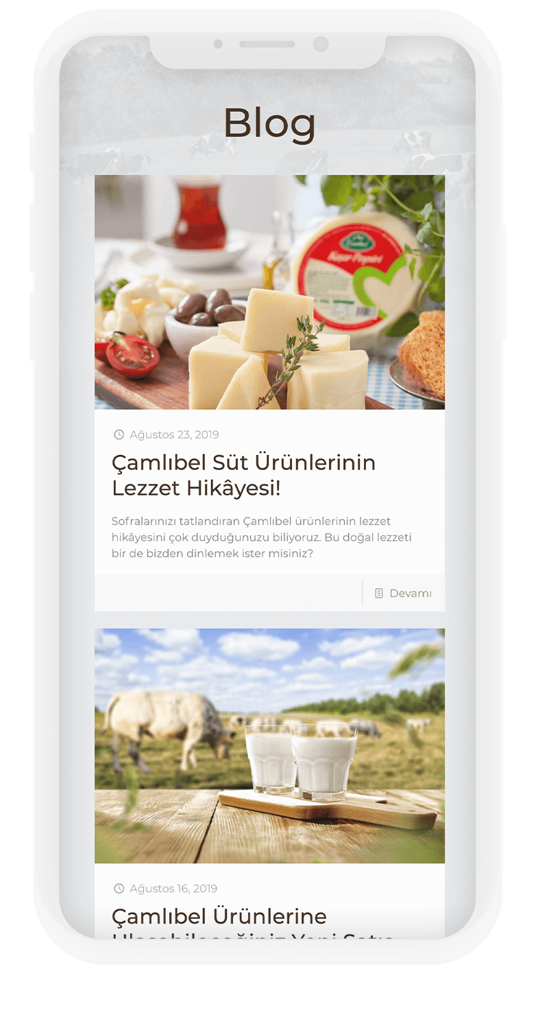 Çamlıbel Gıda Web Sitesi 9 camli 7