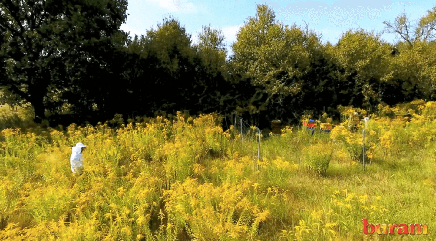 Ekran Resmi 2020 02 17 05.48.09