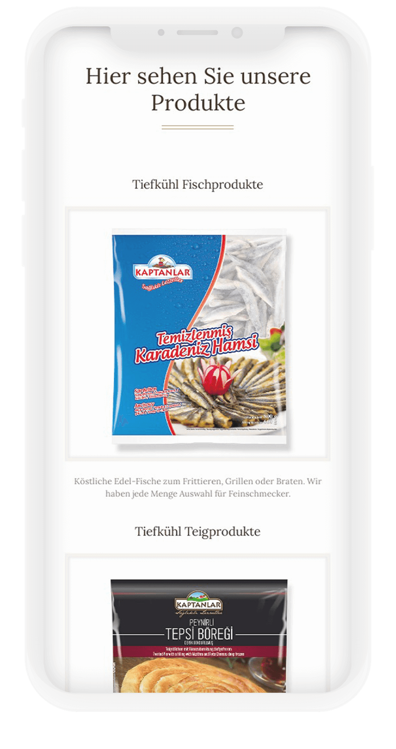 Kaptanlar Kurumsal Website Tasarımı 5 kaptanlar4