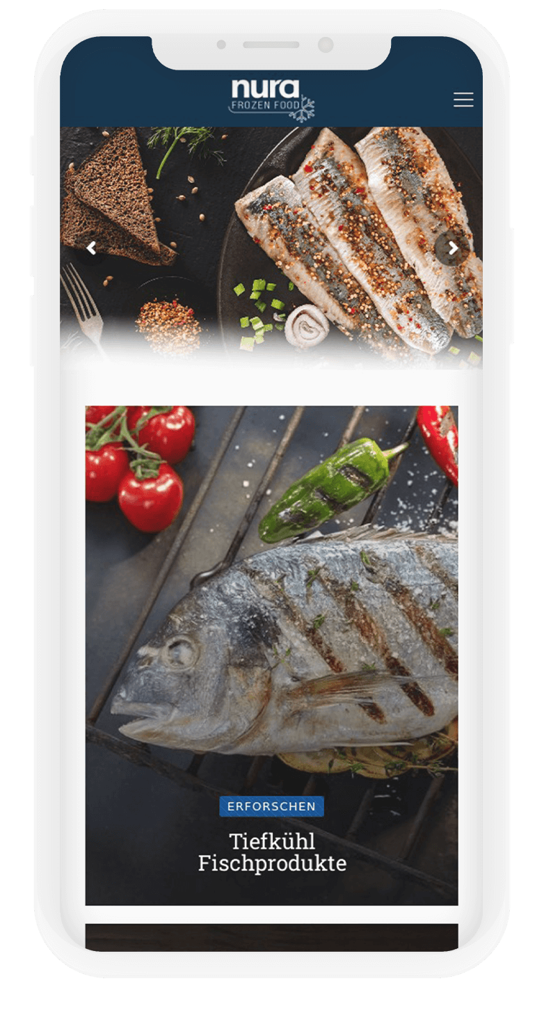 Nura Frozen Food Kurumsal Website Tasarımı 3 nura3
