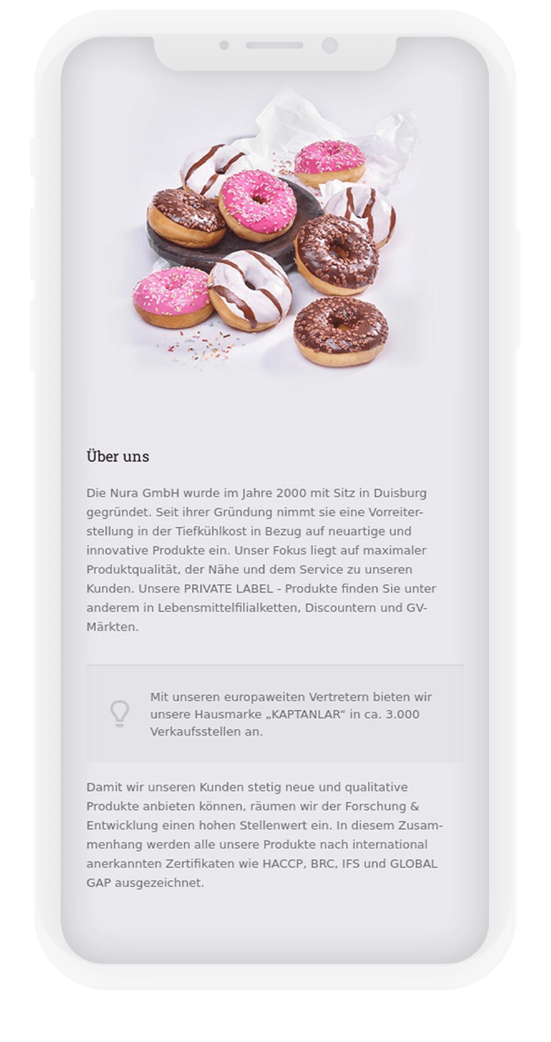 Nura Frozen Food Kurumsal Website Tasarımı 5 nura5