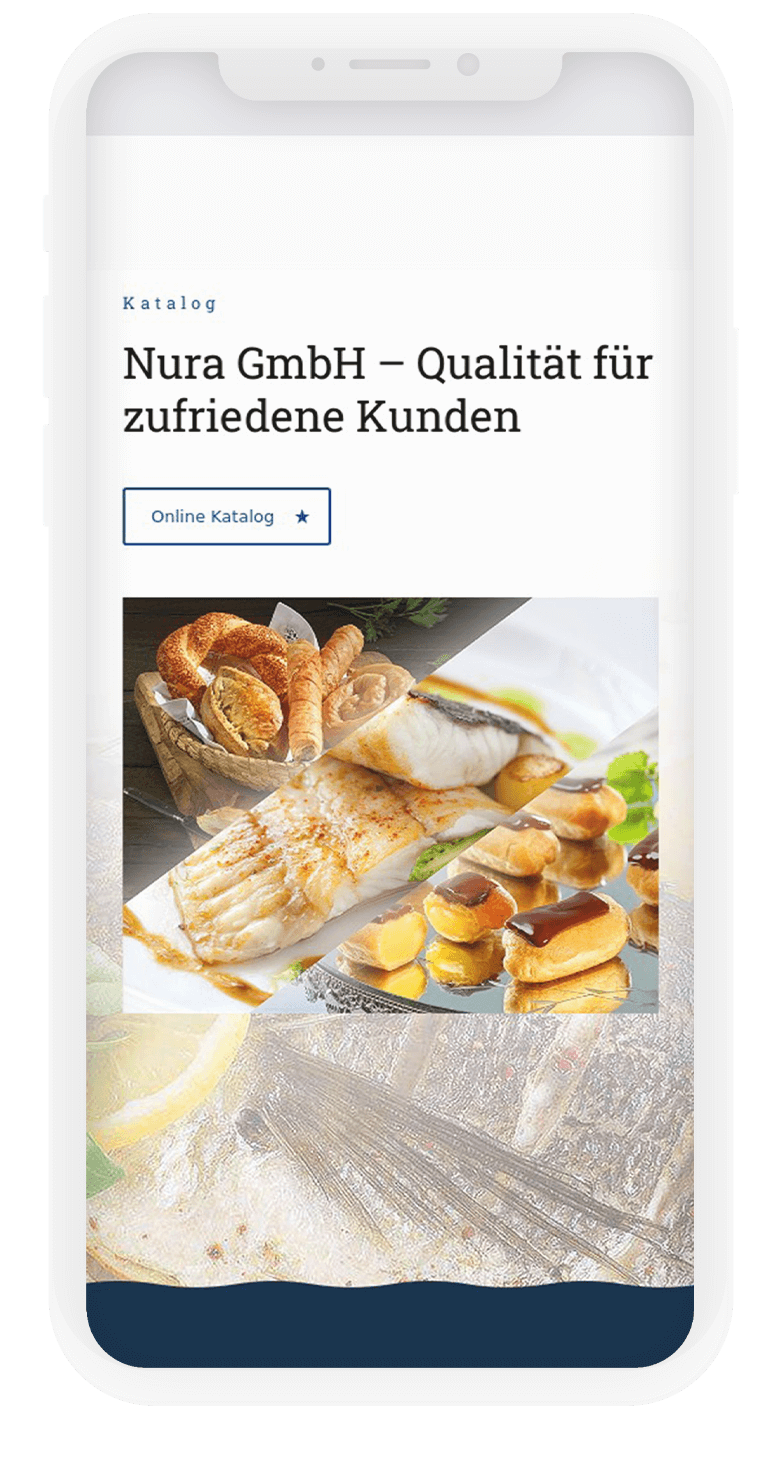 Nura Frozen Food Kurumsal Website Tasarımı 6 nura6