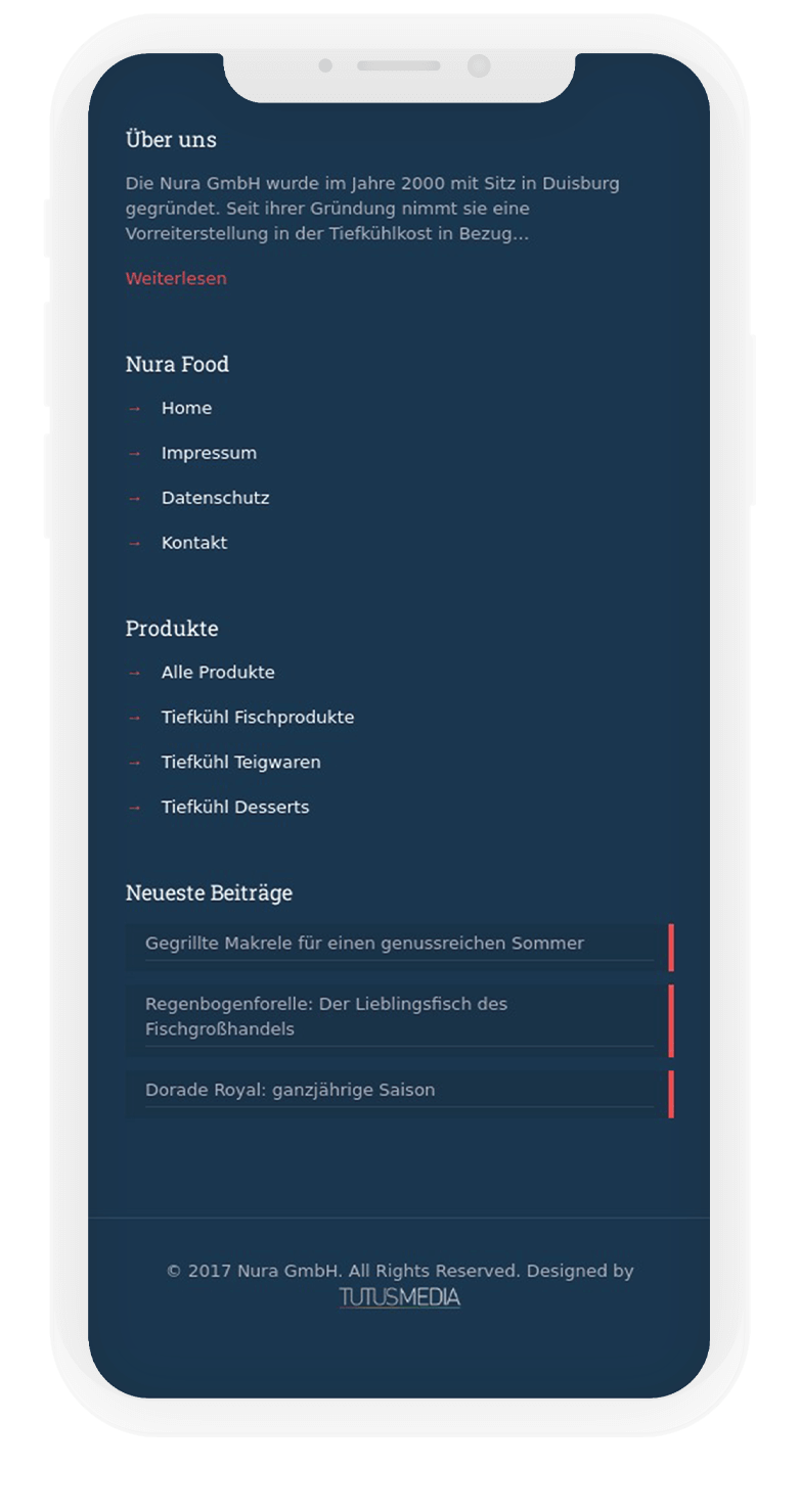 Nura Frozen Food Kurumsal Website Tasarımı 7 nura7