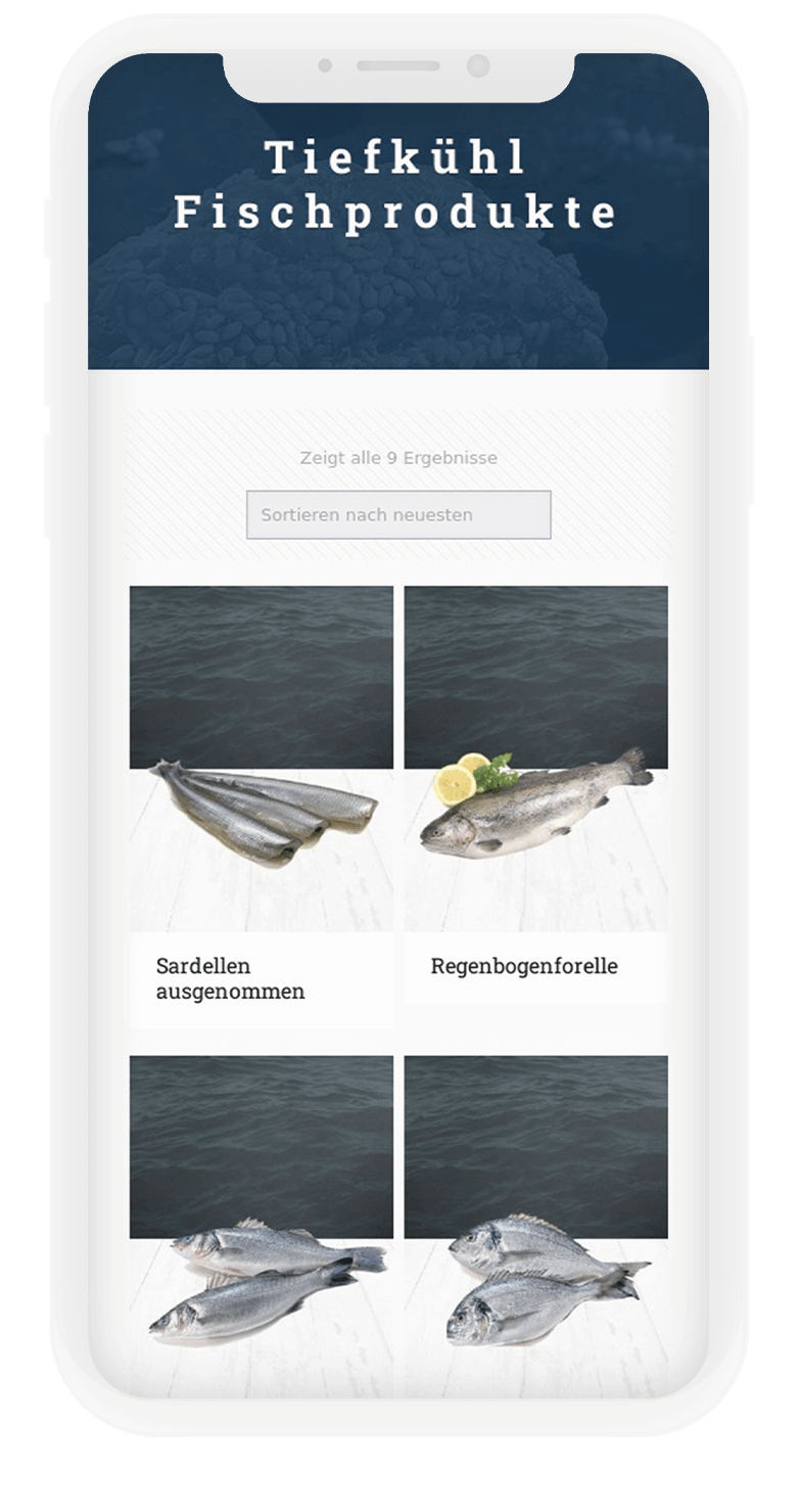 Nura Frozen Food Kurumsal Website Tasarımı 9 nura9