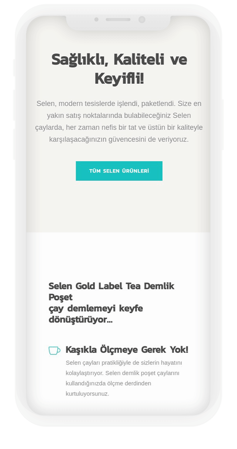 Selen Food Kurumsal Website Tasarımı 5 selen5