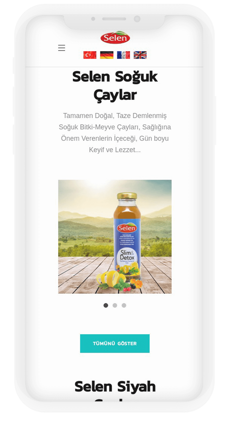 Selen Food Kurumsal Website Tasarımı 8 selen8
