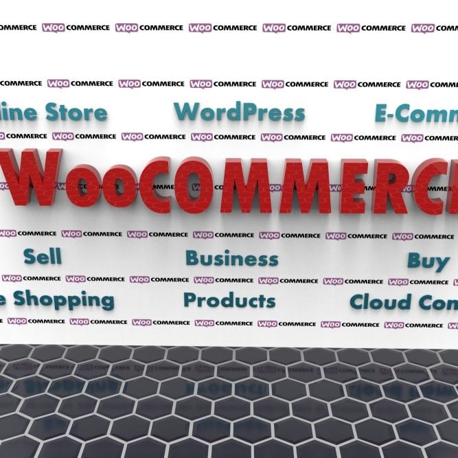 E-Ticaret Sitenizi Mobil Uyumlu Yapacak En İyi WordPress Eklentileri nelerdir?