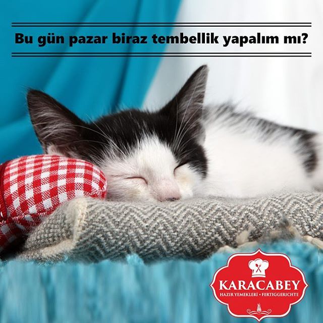 Karacabey Sosyal Medya 11 15876178 311763505891877 3790062601518448640 n