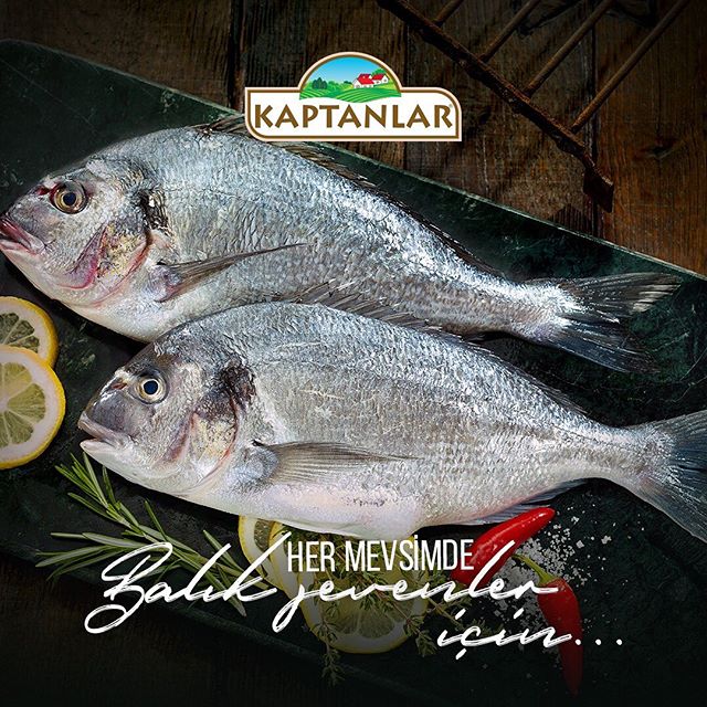 Kaptanlar Sosyal Medya 4 60366938 1755449057889393 2080153501987247884 n