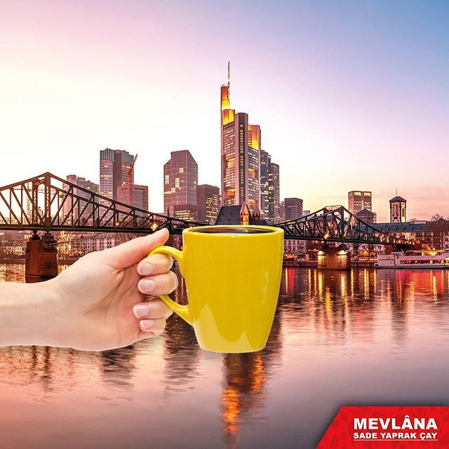 89644562 881301122323745 5279022369886285720 n