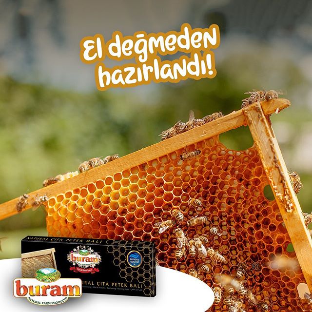 Buram Bal Sosyal Medya 12 89814264 596002207619414 6738280336165778134 n