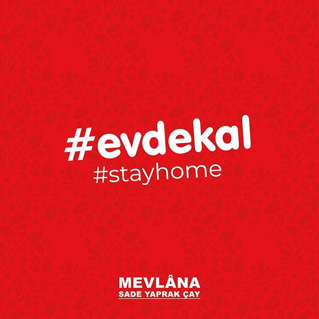 90263232 541716539805259 7165229604836836337 n