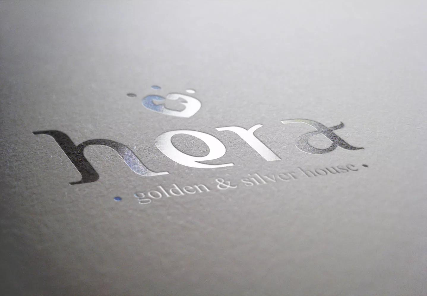 hera logo Iridescent Silver.jpg