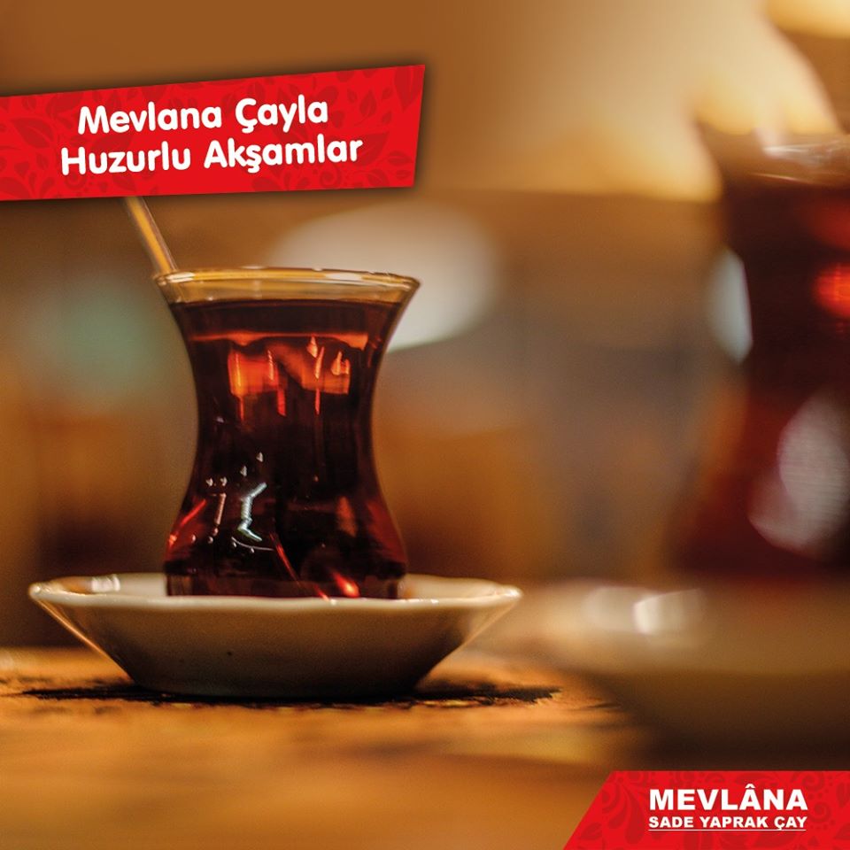 Almanca Sosyal Medya Yönetimi- Uluslararası Sosyal Medya Hizmeti Veriyoruz! 2 MEVLANA ÇAYLA