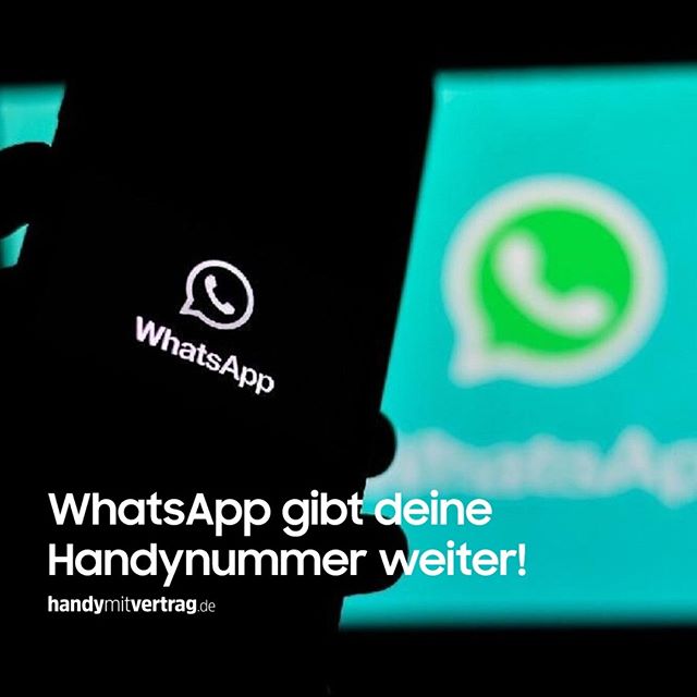 102636600 269447057470195 6662204803107425862 n