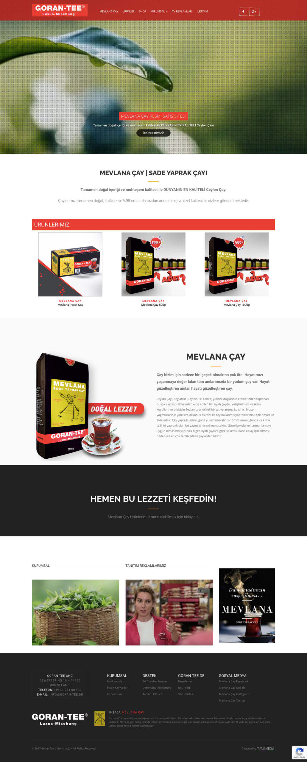 goran tee fullss scaled