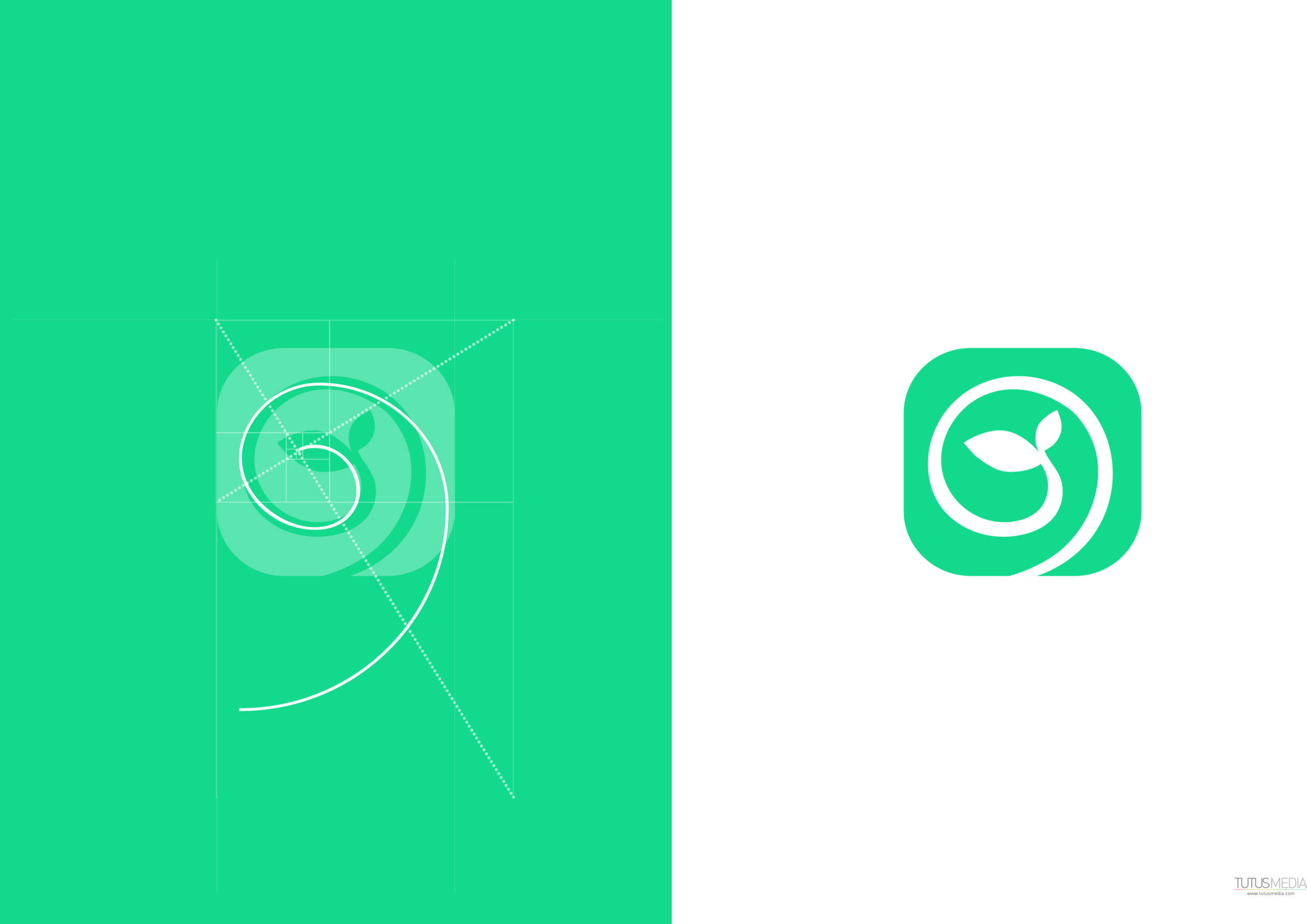 2 3 scaled